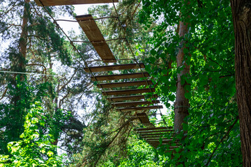 Wooden staircase in summer in a city park against the background of green leaves of trees.
