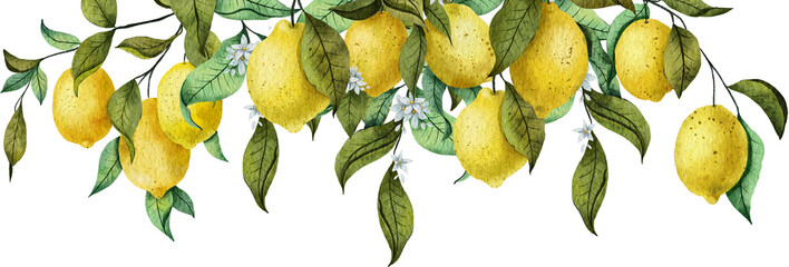 Horizontal border with watercolor lemons. Hand painted illustration