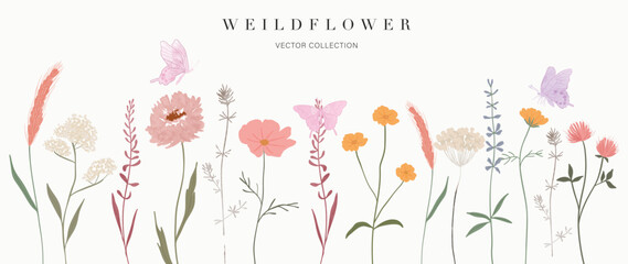 Set of botanical vector element. Collection of butterfly, flowers, wildflowers, wild grass in hand drawn. Watercolor floral garden illustration design for logo, wedding, invitation, decor, print.
