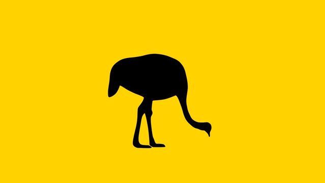 Eating ostrich, animation on the yellow background