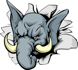 Elephant breakthrough