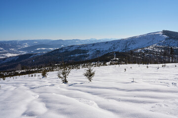 Fototapeta na wymiar Snowy terrain and Barania Gora at Silesian Beskid on Bialy Krzyz, Poland