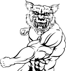 Wolf sports mascot punching