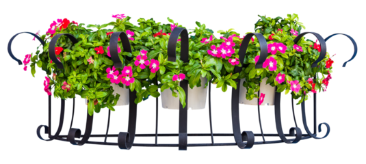 Flower bush  and flowerpot