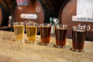 Tasting of different sweet wines from wooden barrels on old bodega in central part of Malaga, Andalusia, Spain