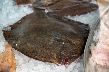 Catch of the day, fresh raw flounder flatfish on ice, healthy seafood