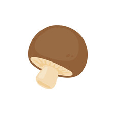 Mushroom vector. raw materials for cooking