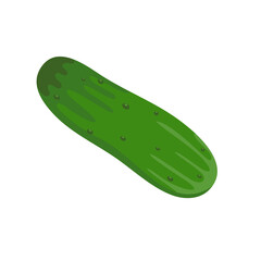 green cucumber Ingredients for cooking