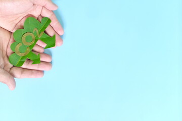 Carbon emission reduction and environmental sustainability concept. Top view of hands holding CO2 green leaf icon with copy space. 