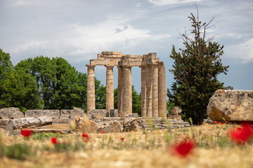 Remains of the Ionic Columns in the Temple of Zeus at Ancient Nemea Archaeological Site