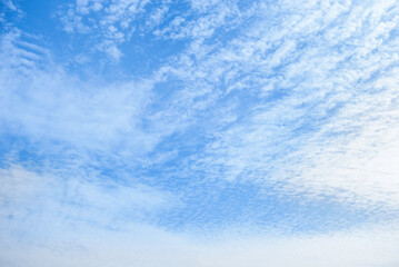 Naklejka na ściany i meble The blu sky with white small cloud 