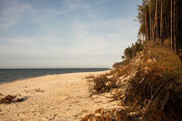 plaża © kolorowekadry