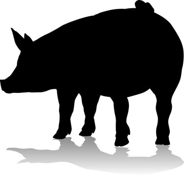 recommend clip art: Pig Silhouette Farm Animal