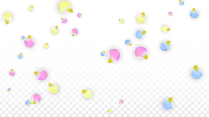Vector Realistic Colorful Petals Falling on Transparent Background.  Spring Romantic Flowers Illustration. Flying Petals. Sakura Spa Design. Blossom Confetti. Design Elements for Wedding Decoration.