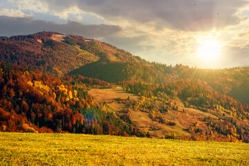mountain landscape in autumn at sunset. wonderful countryside with trees in colorful foliage and...