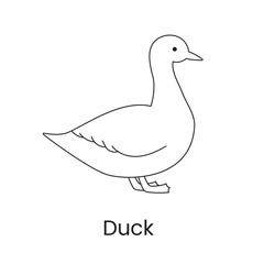 Duck line icon in vector, illustration of a bird.