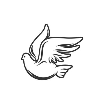 Flying dove isolated symbol of love and peace. Vector monochrome holy bird, pigeon feathered animal