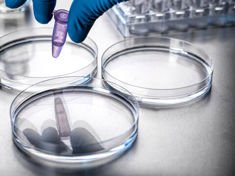 Biotechnology