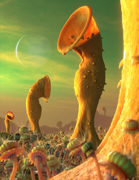 Alien Flora And Fauna On An Exoplanet, Illustration