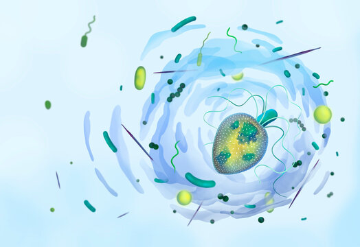 รูปภาพProtists – เลือกดูภาพถ่ายสต็อก เวกเตอร์ และวิดีโอ2,100 | Adobe Stock