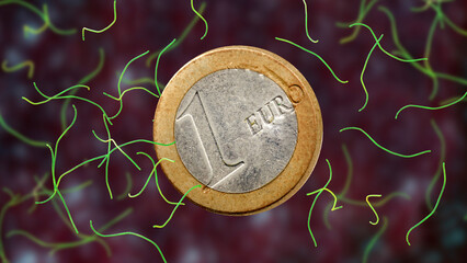 Thiomargarita magnifica and one Euro coin, illustration