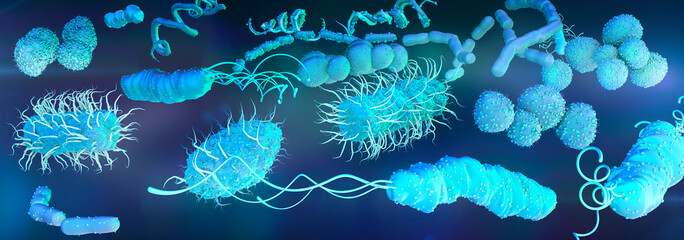 Bacteria, illustration