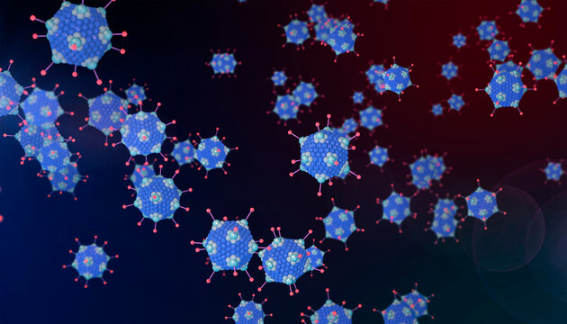 Adenoviruses, illustration