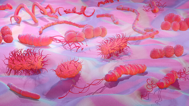 Bacteria, illustration