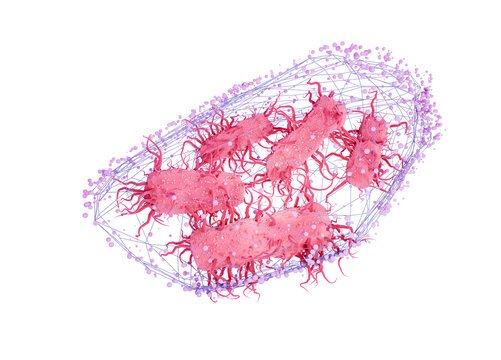Escherichia coli bacteria in a net, conceptual illustration