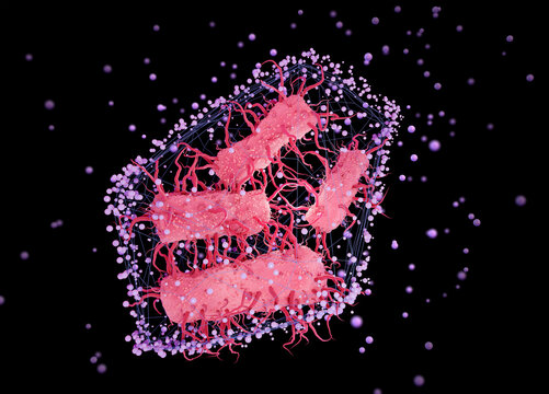 Escherichia coli bacteria in a net, conceptual illustration
