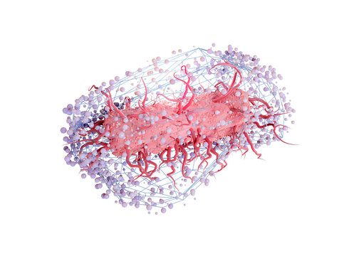 Escherichia coli bacteria in a net, conceptual illustration