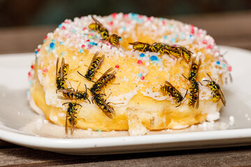 A dangerous Wasp on food