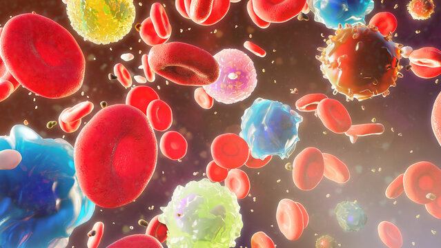 Blood Cells In Solution, Illustration