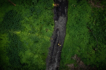 Junger dunkelhäutiger Mann in Sportkleidung läuft im Wald beim Trailrunning