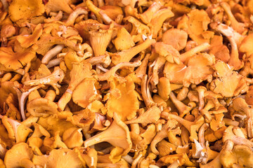 sale of mushrooms on farm market - 524233004