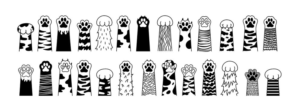 Big set of Cat paw. Dog paw. Cat breed. Doodle animal foot, cute cartoon kitten and puppy paws, wild and domestic animals foots. vector drawing kitty and dog different breed pet.
