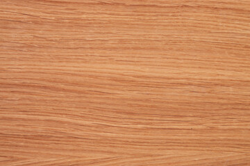 wood texture of different types of wood