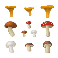 Mushroom Icons Set on White Background. Vector