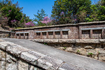 Fototapeta premium 大久野島の北部砲台跡 広島県竹原市忠海町 Northern Cannon Battery Ruins on Okunoshima island known as 