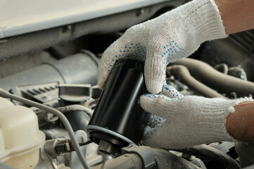 Maintenance of a passenger car in a service center. A new oil filter is in the hands of an auto...