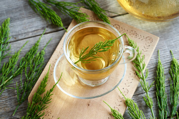 A cup of horsetail tea with fresh horsetail plant - obrazy, fototapety, plakaty