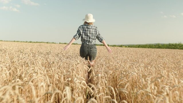 Woman runing fun across the wheat field. agriculture dream concept. girl farmer hands to sides runs across the wheat field. happy free girl run in park agricultural land