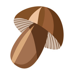 A brown mushroom isolated on a white background.Vector illustration can be used in menus, autumn designs,textiles.