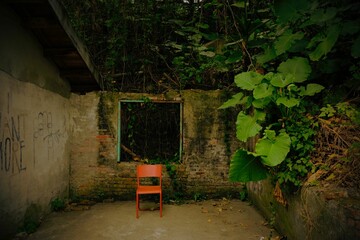 Lovely chair in the wild against ruins of bricks wall