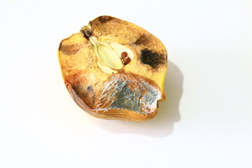 moldy quince on a white background