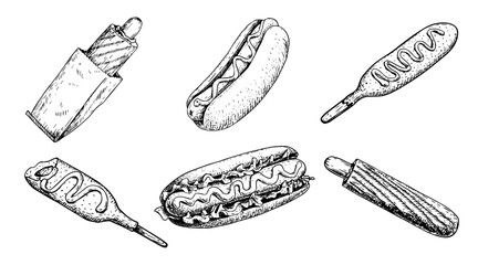 Hot dog in sketch style collection. Classic, french hot dog and corn dog. Hand drawn vintage style. Best for menu and packaging. Vector illustrations.