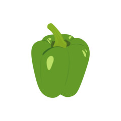 Bell pepper vegetable icon. Fresh green pepper vegetable isolated icon. pepper for farmers market, vegetarian salad recipe design. vector illustration in flat style