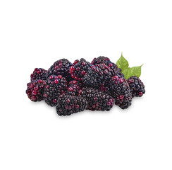 Fresh Blackberry with leaves isolated on transparent background (.PNG)