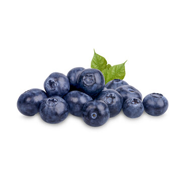Fresh blueberry with leaves isolated on transparent background (.PNG)