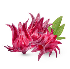 Fresh roselle fruits with leaves isolated on transparent background (.PNG)